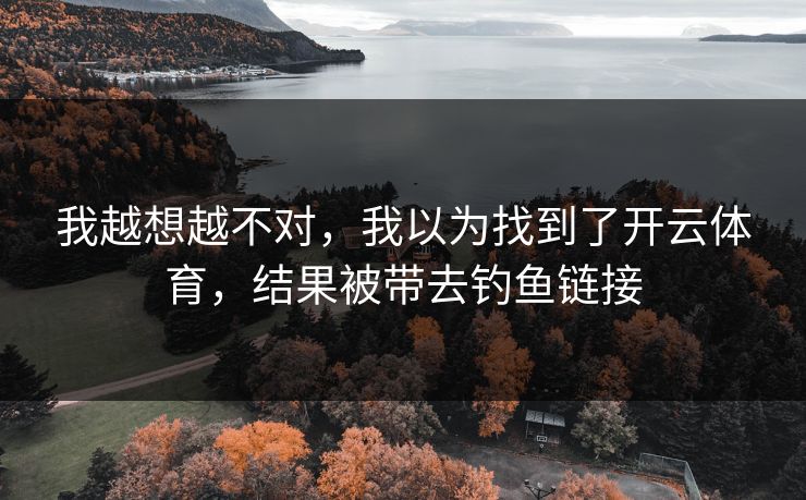 我越想越不对，我以为找到了开云体育，结果被带去钓鱼链接
