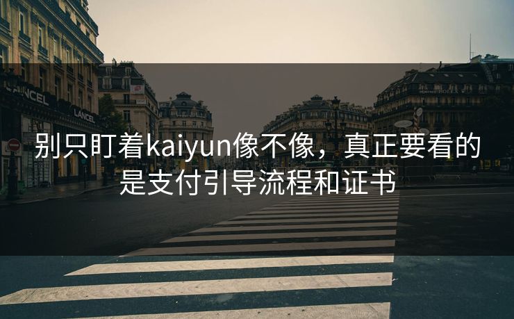别只盯着kaiyun像不像，真正要看的是支付引导流程和证书