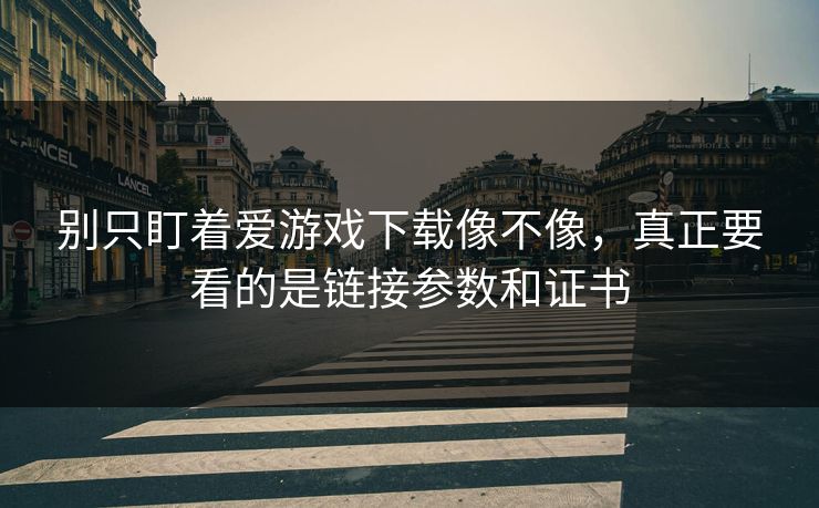 别只盯着爱游戏下载像不像，真正要看的是链接参数和证书